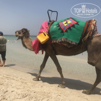 фото из отзыва ID 2214397