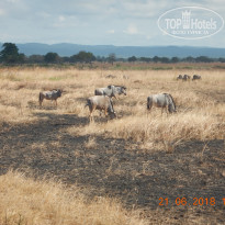 фото из отзыва ID 2214470