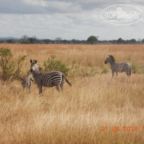 фото из отзыва ID 2214470