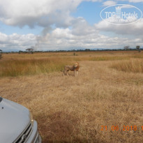 фото из отзыва ID 2214470