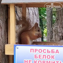 фото из отзыва ID 2214518