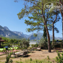 фото из отзыва ID 2214600