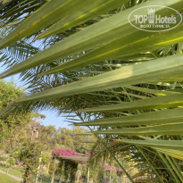 фото из отзыва ID 2214745