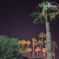 фото из отзыва ID 2212733