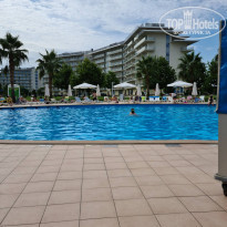 фото из отзыва ID 2215132