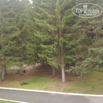 фото из отзыва ID 2215140