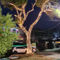 фото из отзыва ID 2215155