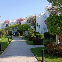 фото из отзыва ID 2215173