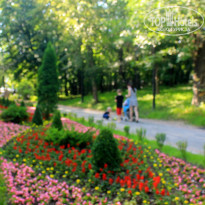 фото из отзыва ID 2215269