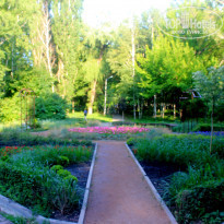 фото из отзыва ID 2215269