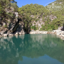 фото из отзыва ID 2215304