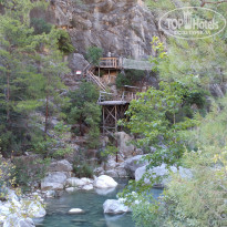 фото из отзыва ID 2215304