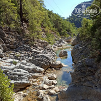 фото из отзыва ID 2215304