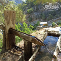 фото из отзыва ID 2215304