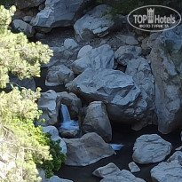 фото из отзыва ID 2215304