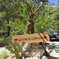 фото из отзыва ID 2215304