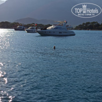 фото из отзыва ID 2215304