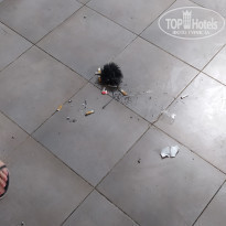 фото из отзыва ID 2215323