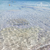 фото из отзыва ID 2215294