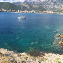 фото из отзыва ID 2215339