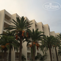 фото из отзыва ID 2215344