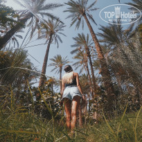 фото из отзыва ID 2215344