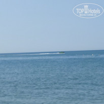 фото из отзыва ID 2215386