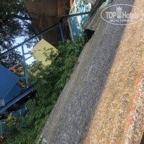 фото из отзыва ID 2215211