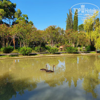 фото из отзыва ID 2214241