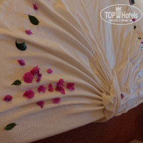 фото из отзыва ID 2215470