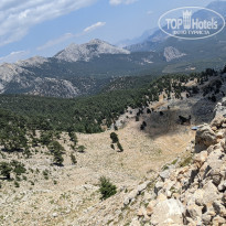 фото из отзыва ID 2215532