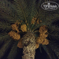 фото из отзыва ID 2215564