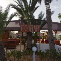 фото из отзыва ID 2215564