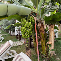 фото из отзыва ID 2215591