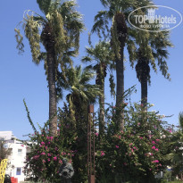 фото из отзыва ID 2215733