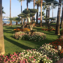 фото из отзыва ID 2215754