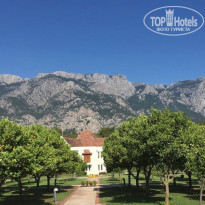 фото из отзыва ID 2215754