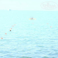 фото из отзыва ID 2215756