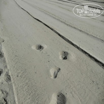 фото из отзыва ID 2215704