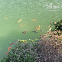 фото из отзыва ID 2216029