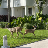 фото из отзыва ID 2215804