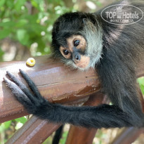 фото из отзыва ID 2215804