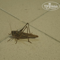 фото из отзыва ID 2216063