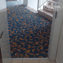 фото из отзыва ID 2216126