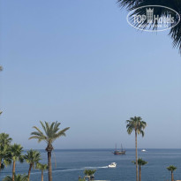 фото из отзыва ID 2216356