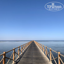 фото из отзыва ID 2216372