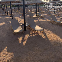 фото из отзыва ID 2216372