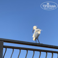 фото из отзыва ID 2216372