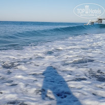 фото из отзыва ID 2216487