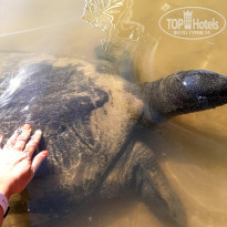 фото из отзыва ID 2216489